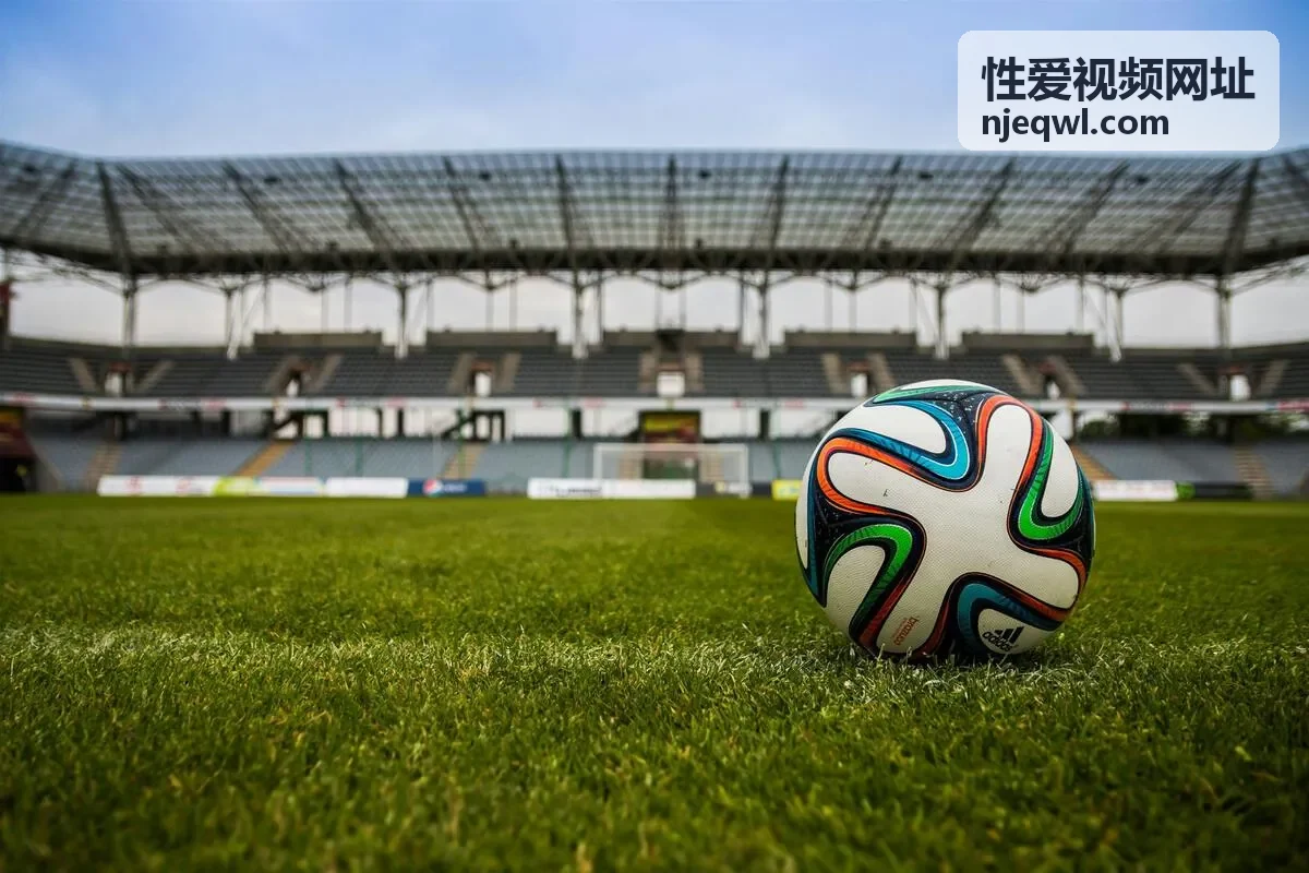 性爱视频网址会员权益与更新频率说明